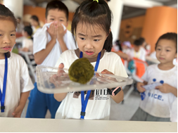 888电子集团官网 - 当先的电子科技解决规划提供商